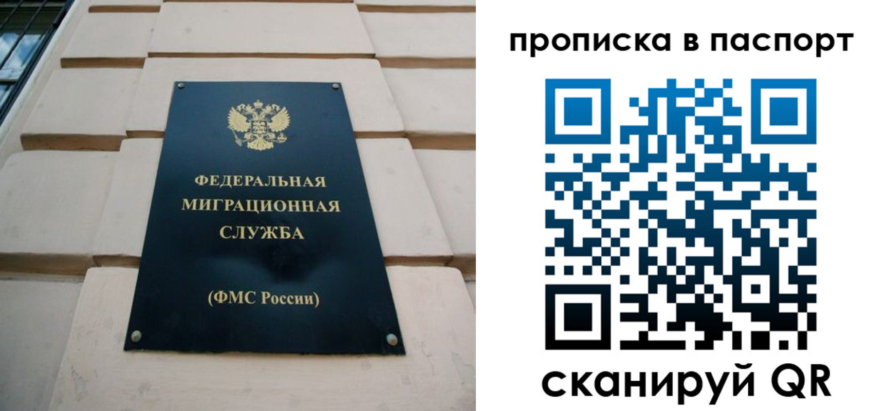 найти адрес прописки в Владимирской области
